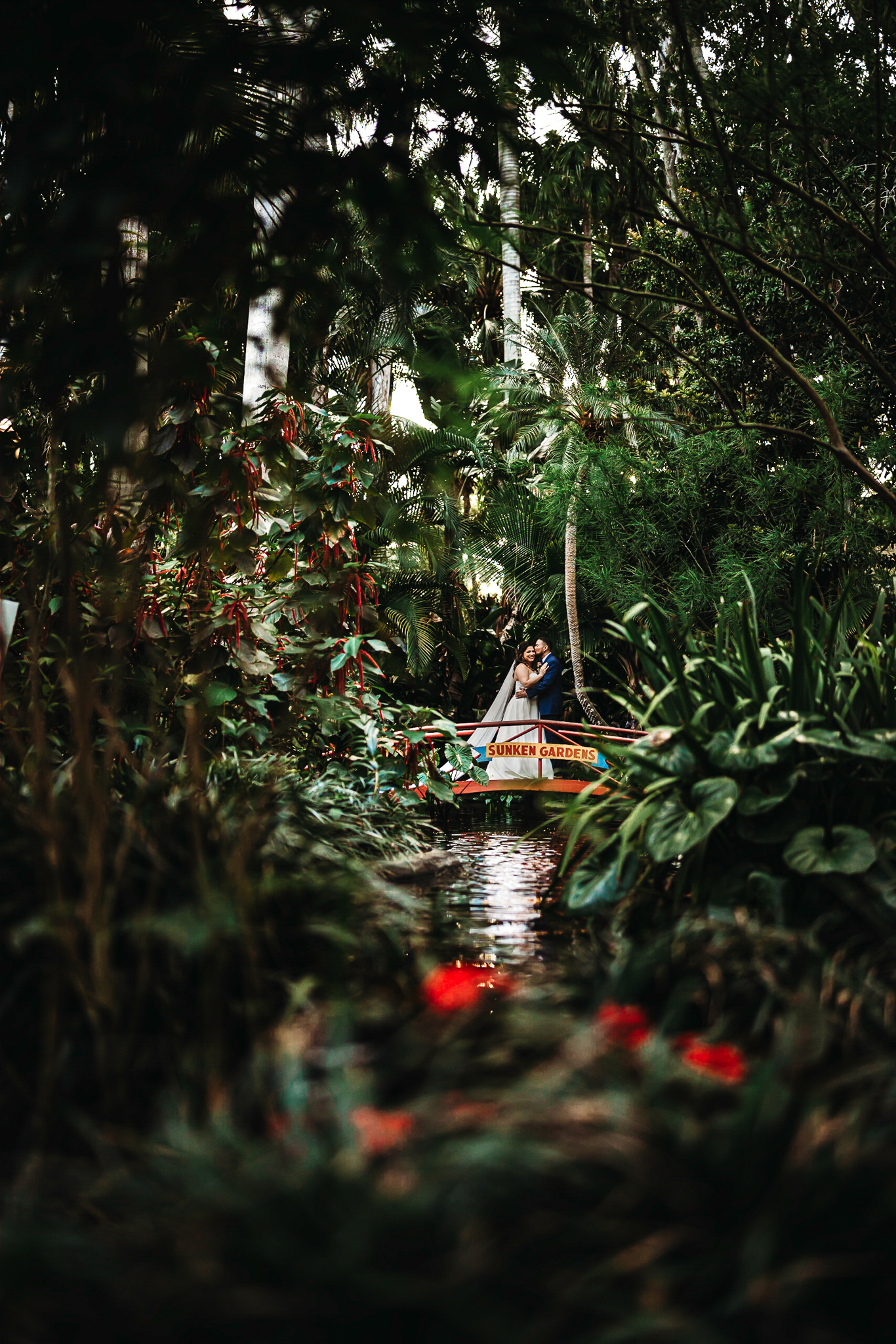 sunken gardens tropical oasis Saint Petersburg wedding photographer